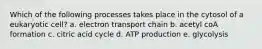 Which of the following processes takes place in the cytosol of a eukaryotic cell? a. electron transport chain b. acetyl coA formation c. citric acid cycle d. ATP production e. glycolysis