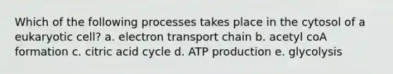 Which of the following processes takes place in the cytosol of a eukaryotic cell? a. electron transport chain b. acetyl coA formation c. citric acid cycle d. ATP production e. glycolysis