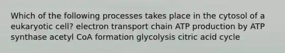 Which of the following processes takes place in the cytosol of a eukaryotic cell? electron transport chain ATP production by ATP synthase acetyl CoA formation glycolysis citric acid cycle