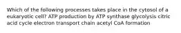 Which of the following processes takes place in the cytosol of a eukaryotic cell? ATP production by ATP synthase glycolysis citric acid cycle electron transport chain acetyl CoA formation