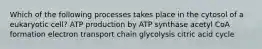 Which of the following processes takes place in the cytosol of a eukaryotic cell? ATP production by ATP synthase acetyl CoA formation electron transport chain glycolysis citric acid cycle