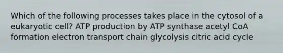 Which of the following processes takes place in the cytosol of a eukaryotic cell? ATP production by ATP synthase acetyl CoA formation electron transport chain glycolysis citric acid cycle