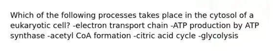 Which of the following processes takes place in the cytosol of a eukaryotic cell? -electron transport chain -<a href='https://www.questionai.com/knowledge/kQXM5vFKbG-atp-production' class='anchor-knowledge'>atp production</a> by ATP synthase -acetyl CoA formation -citric acid cycle -glycolysis