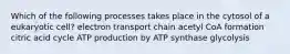 Which of the following processes takes place in the cytosol of a eukaryotic cell? electron transport chain acetyl CoA formation citric acid cycle ATP production by ATP synthase glycolysis