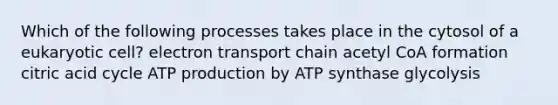 Which of the following processes takes place in the cytosol of a eukaryotic cell? electron transport chain acetyl CoA formation citric acid cycle ATP production by ATP synthase glycolysis