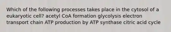 Which of the following processes takes place in the cytosol of a eukaryotic cell? acetyl CoA formation glycolysis electron transport chain ATP production by ATP synthase citric acid cycle