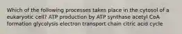 Which of the following processes takes place in the cytosol of a eukaryotic cell? ATP production by ATP synthase acetyl CoA formation glycolysis electron transport chain citric acid cycle