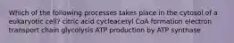 Which of the following processes takes place in the cytosol of a eukaryotic cell? citric acid cycleacetyl CoA formation electron transport chain glycolysis ATP production by ATP synthase