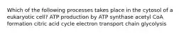 Which of the following processes takes place in the cytosol of a eukaryotic cell? ATP production by ATP synthase acetyl CoA formation citric acid cycle electron transport chain glycolysis