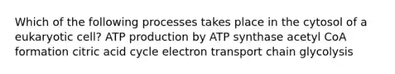 Which of the following processes takes place in the cytosol of a eukaryotic cell? ATP production by ATP synthase acetyl CoA formation citric acid cycle electron transport chain glycolysis