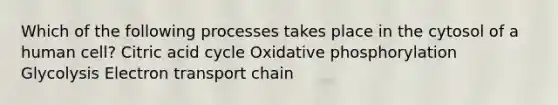 Which of the following processes takes place in the cytosol of a human cell? Citric acid cycle Oxidative phosphorylation Glycolysis Electron transport chain