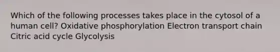 Which of the following processes takes place in the cytosol of a human cell? Oxidative phosphorylation Electron transport chain Citric acid cycle Glycolysis