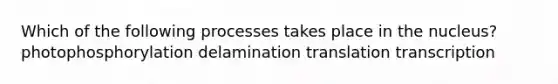 Which of the following processes takes place in the nucleus? photophosphorylation delamination translation transcription