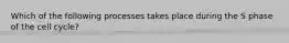 Which of the following processes takes place during the S phase of the cell cycle?