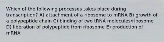 Which of the following processes takes place during transcription? A) attachment of a ribosome to mRNA B) growth of a polypeptide chain C) binding of two tRNA molecules/ribosome D) liberation of polypeptide from ribosome E) production of mRNA