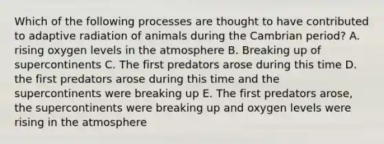 Which of the following processes are thought to have contributed to adaptive radiation of animals during the Cambrian period? A. rising oxygen levels in the atmosphere B. Breaking up of supercontinents C. The first predators arose during this time D. the first predators arose during this time and the supercontinents were breaking up E. The first predators arose, the supercontinents were breaking up and oxygen levels were rising in the atmosphere