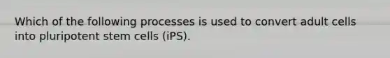 Which of the following processes is used to convert adult cells into pluripotent stem cells (iPS).