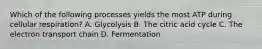 Which of the following processes yields the most ATP during cellular respiration? A. Glycolysis B. The citric acid cycle C. The electron transport chain D. Fermentation