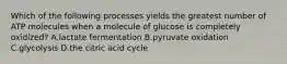 Which of the following processes yields the greatest number of ATP molecules when a molecule of glucose is completely oxidized? A.lactate fermentation B.pyruvate oxidation C.glycolysis D.the citric acid cycle