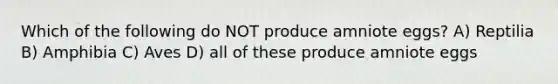 Which of the following do NOT produce amniote eggs? A) Reptilia B) Amphibia C) Aves D) all of these produce amniote eggs