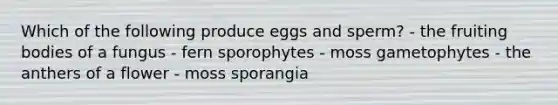 Which of the following produce eggs and sperm? - the fruiting bodies of a fungus - fern sporophytes - moss gametophytes - the anthers of a flower - moss sporangia