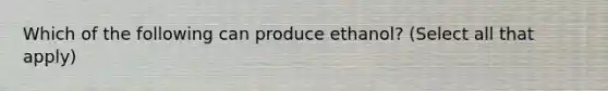 Which of the following can produce ethanol? (Select all that apply)