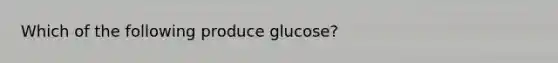 Which of the following produce glucose?