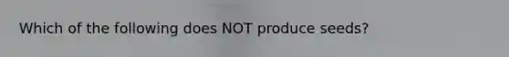 Which of the following does NOT produce seeds?