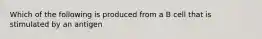Which of the following is produced from a B cell that is stimulated by an antigen