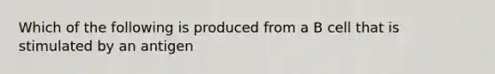 Which of the following is produced from a B cell that is stimulated by an antigen