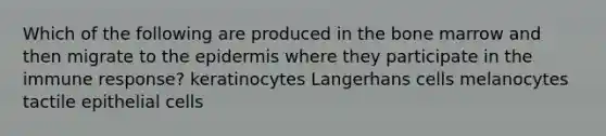 Which of the following are produced in the bone marrow and then migrate to <a href='https://www.questionai.com/knowledge/kBFgQMpq6s-the-epidermis' class='anchor-knowledge'>the epidermis</a> where they participate in the immune response? keratinocytes Langerhans cells melanocytes tactile epithelial cells