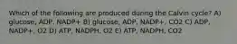 Which of the following are produced during the Calvin cycle? A) glucose, ADP, NADP+ B) glucose, ADP, NADP+, CO2 C) ADP, NADP+, O2 D) ATP, NADPH, O2 E) ATP, NADPH, CO2