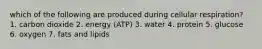 which of the following are produced during cellular respiration? 1. carbon dioxide 2. energy (ATP) 3. water 4. protein 5. glucose 6. oxygen 7. fats and lipids