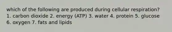 which of the following are produced during cellular respiration? 1. carbon dioxide 2. energy (ATP) 3. water 4. protein 5. glucose 6. oxygen 7. fats and lipids