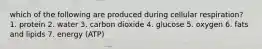 which of the following are produced during cellular respiration? 1. protein 2. water 3. carbon dioxide 4. glucose 5. oxygen 6. fats and lipids 7. energy (ATP)