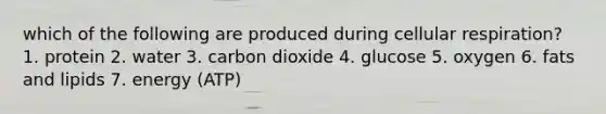 which of the following are produced during cellular respiration? 1. protein 2. water 3. carbon dioxide 4. glucose 5. oxygen 6. fats and lipids 7. energy (ATP)