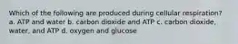 Which of the following are produced during cellular respiration? a. ATP and water b. carbon dioxide and ATP c. carbon dioxide, water, and ATP d. oxygen and glucose