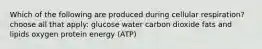 Which of the following are produced during cellular respiration? choose all that apply: glucose water carbon dioxide fats and lipids oxygen protein energy (ATP)