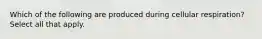 Which of the following are produced during cellular respiration? Select all that apply.