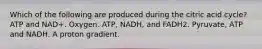 Which of the following are produced during the citric acid cycle? ATP and NAD+. Oxygen. ATP, NADH, and FADH2. Pyruvate, ATP and NADH. A proton gradient.