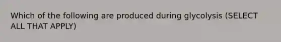 Which of the following are produced during glycolysis (SELECT ALL THAT APPLY)