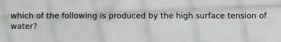 which of the following is produced by the high surface tension of water?