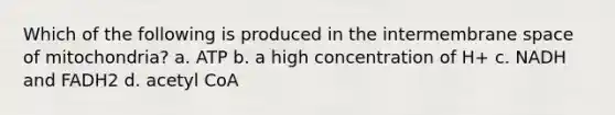 Which of the following is produced in the intermembrane space of mitochondria? a. ATP b. a high concentration of H+ c. NADH and FADH2 d. acetyl CoA