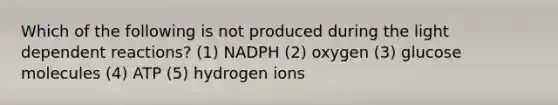 Which of the following is not produced during the light dependent reactions? (1) NADPH (2) oxygen (3) glucose molecules (4) ATP (5) hydrogen ions