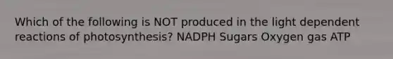 Which of the following is NOT produced in the light dependent reactions of photosynthesis? NADPH Sugars Oxygen gas ATP