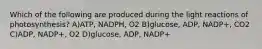 Which of the following are produced during the light reactions of photosynthesis? A)ATP, NADPH, O2 B)glucose, ADP, NADP+, CO2 C)ADP, NADP+, O2 D)glucose, ADP, NADP+