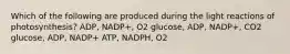 Which of the following are produced during the light reactions of photosynthesis? ADP, NADP+, O2 glucose, ADP, NADP+, CO2 glucose, ADP, NADP+ ATP, NADPH, O2