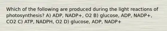 Which of the following are produced during the light reactions of photosynthesis? A) ADP, NADP+, O2 B) glucose, ADP, NADP+, CO2 C) ATP, NADPH, O2 D) glucose, ADP, NADP+