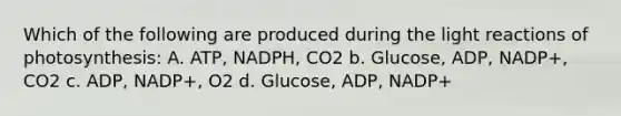 Which of the following are produced during the light reactions of photosynthesis: A. ATP, NADPH, CO2 b. Glucose, ADP, NADP+, CO2 c. ADP, NADP+, O2 d. Glucose, ADP, NADP+