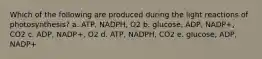 Which of the following are produced during the light reactions of photosynthesis? a. ATP, NADPH, O2 b. glucose, ADP, NADP+, CO2 c. ADP, NADP+, O2 d. ATP, NADPH, CO2 e. glucose, ADP, NADP+